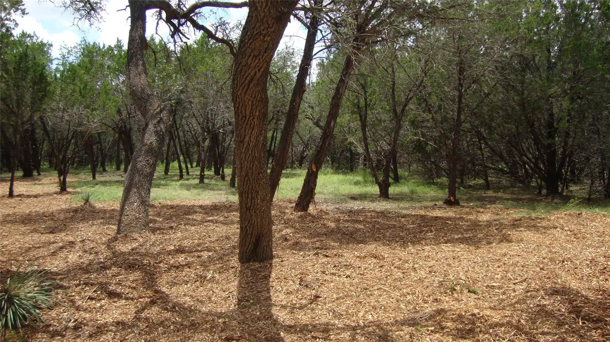 36 Travis Oaks Dr, Marble Falls, TX 78654 - #1