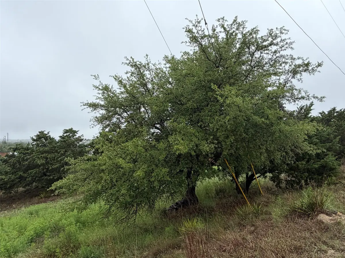 17408 Lake Wood Cir, Dripping Springs, TX 78620 - #1