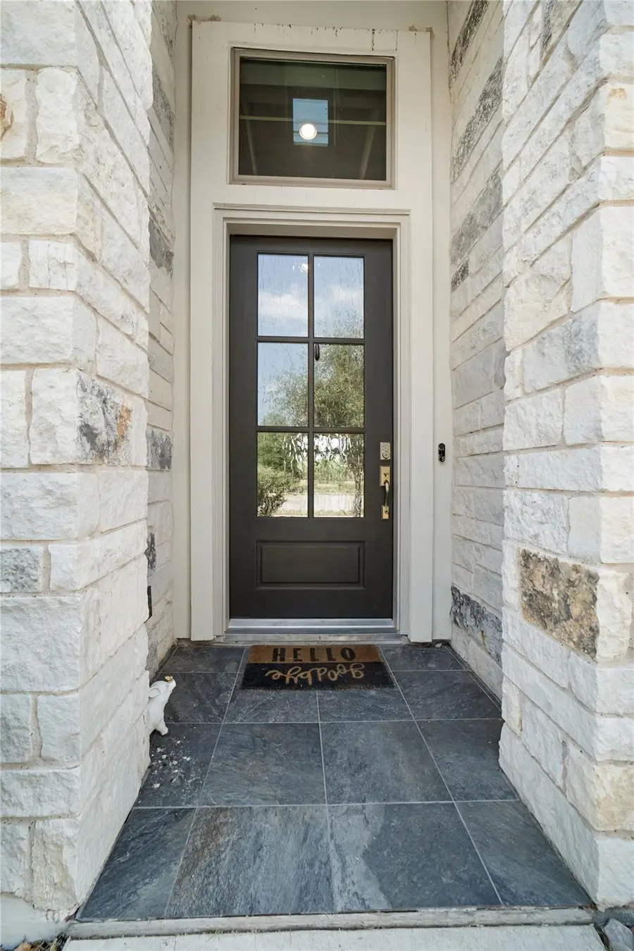 229 Majestic Sage Trl, San Marcos, TX 78666 - #2