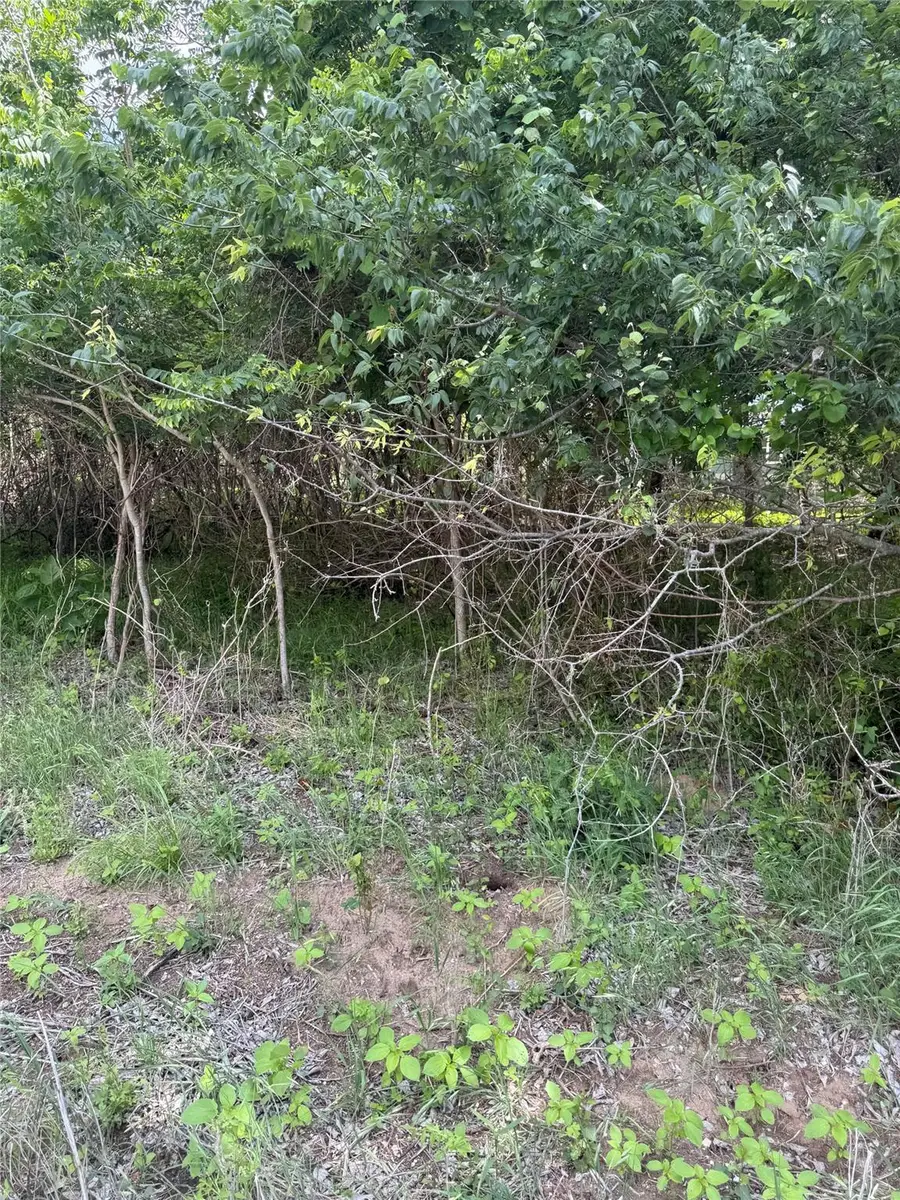 Lot 959 Riverside Dr, Bastrop, TX 78602 - #2