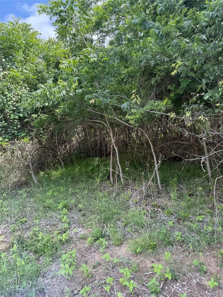 Lot 959 Riverside Dr, Bastrop, TX 78602 - #3