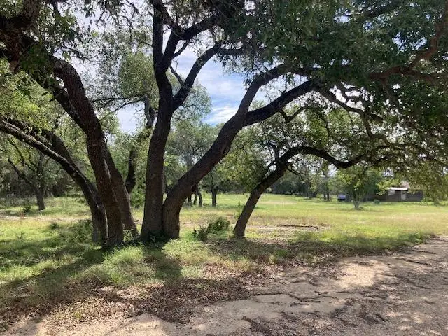 1050 Harmon Hills Rd, Dripping Springs, TX 78620 - #1