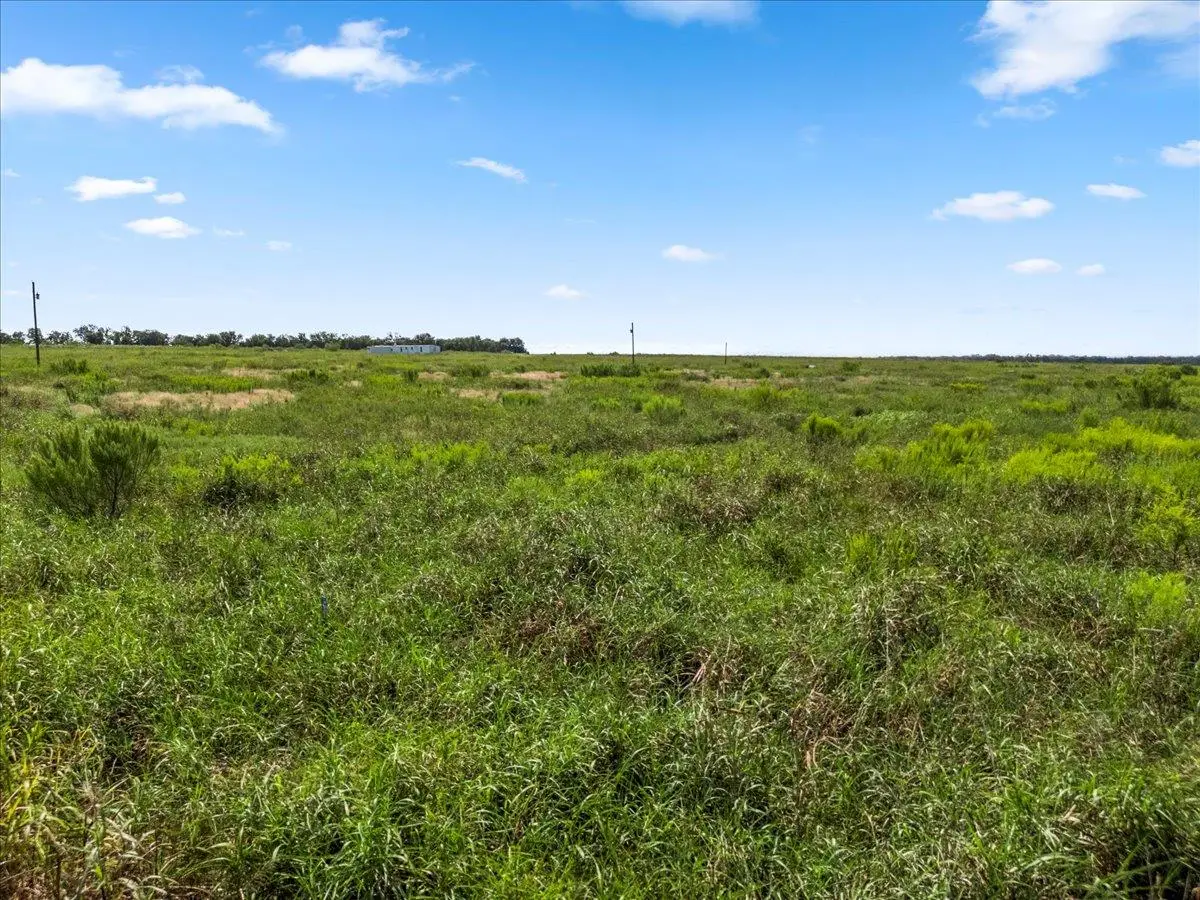 TBD Fm 485, Buckholts, TX 76518 - #1
