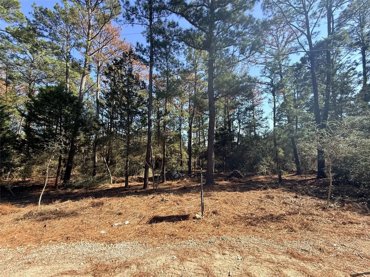 Lot 59 S. Hill Ridge Rd, Bastrop, TX 78602 - #1