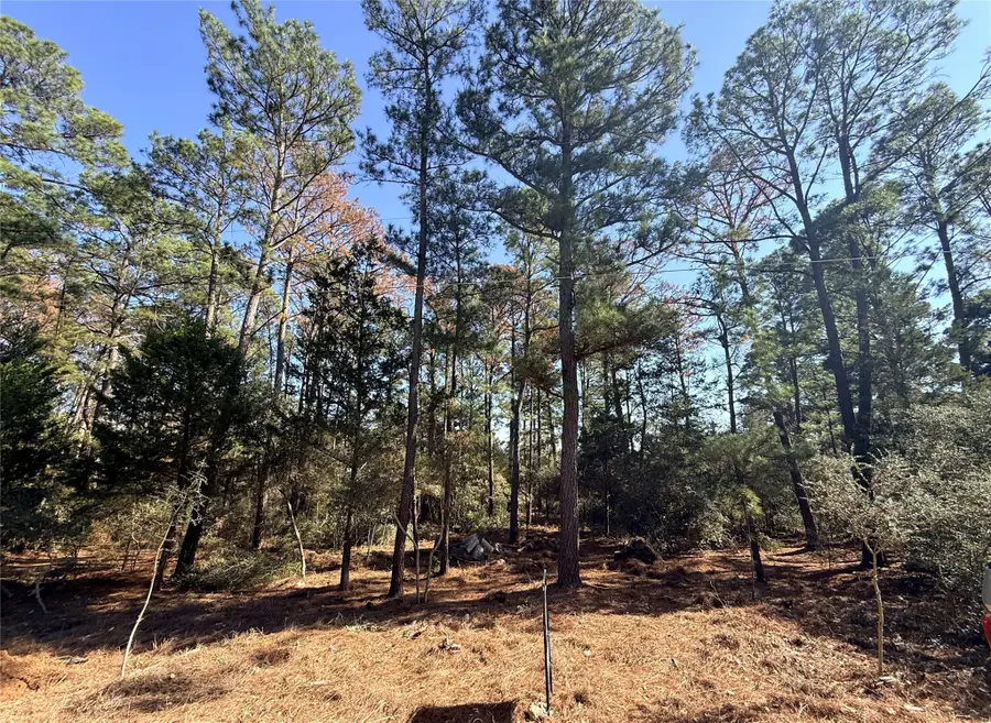 Lot 59 S. Hill Ridge Rd, Bastrop, TX 78602 - #2