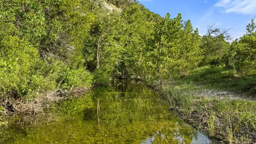 4605 Wild Cow Cv, Spicewood, TX 78669 - #3