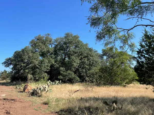 Lot 180 Swamp Creek Cove, Burnet, TX 78611