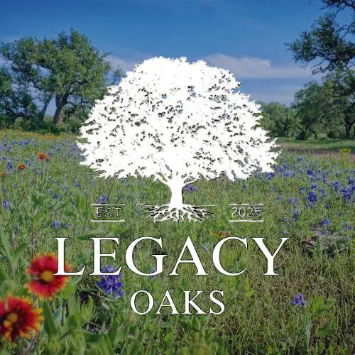 Lot 180 Swamp Creek Cove, Burnet, TX 78611 - #2
