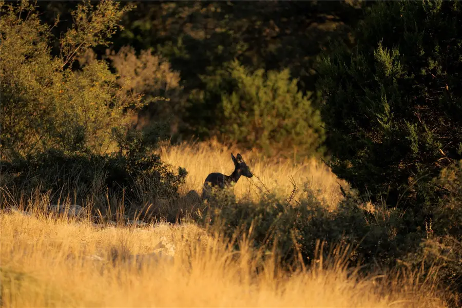 0 Sutton County Rd 406 Rd, Sonora, TX 76950 - Image #3