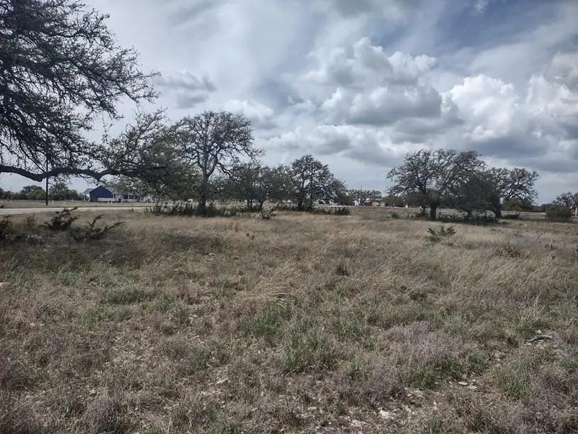 622 Blackbuck Ridge Dr, Lampasas, TX 76550 - #3
