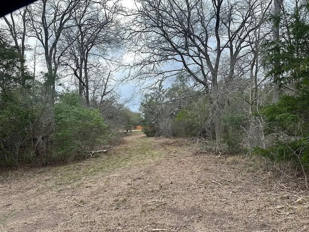 303 Fm 609 Rd, Flatonia, TX 78941 - #1