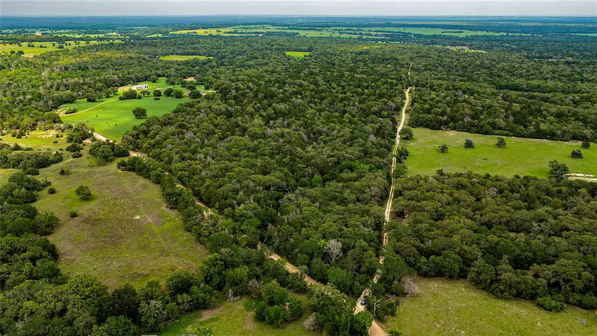 5632 County Road 317, Caldwell, TX 77836 - #1
