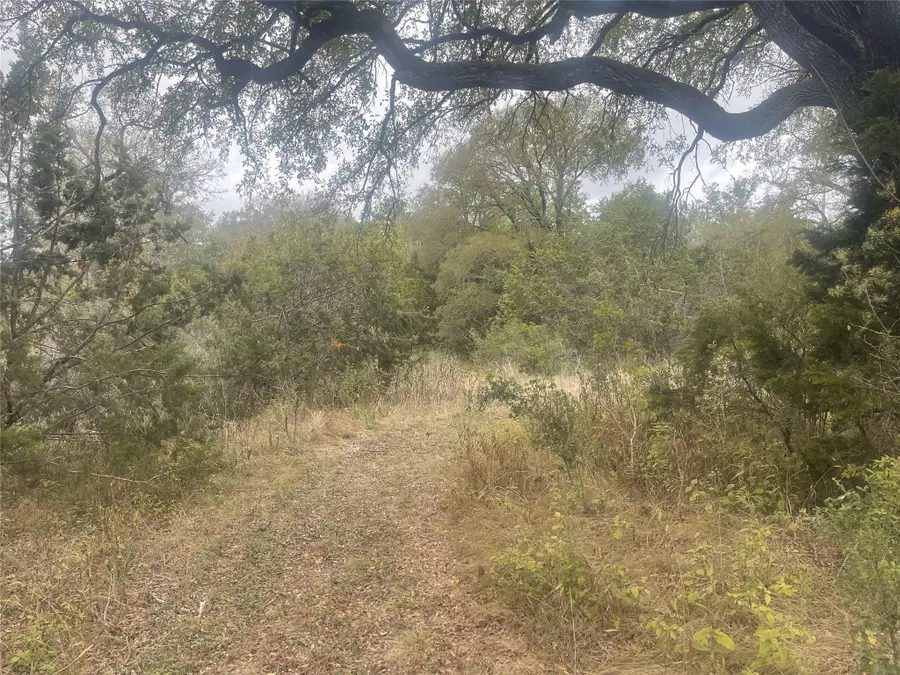 2171 Onion Creek Bnd, Driftwood, TX 78619 - #2