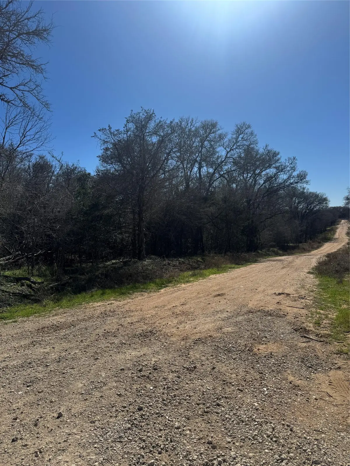 Lots 320 and 321 Kolekole Ln, Bastrop, TX 78602 - #1