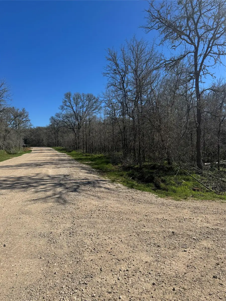 Lots 320 and 321 Kolekole Ln, Bastrop, TX 78602 - #2