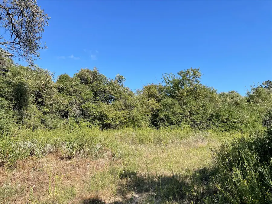 1813 Lone Star Ln, Franklin, TX 77856 - #3