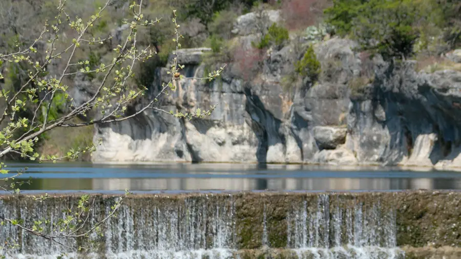 1333 Sunset Hill Way, Georgetown, TX 78628 - #3