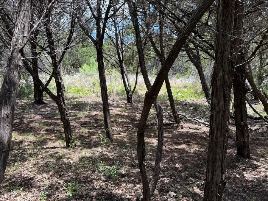 21104 Ringtail Cv, Lago Vista, TX 78645 - #3