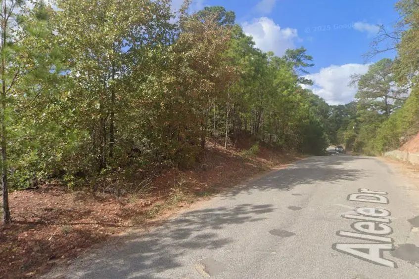 0 Alele Dr, Bastrop, TX 78602 - #1