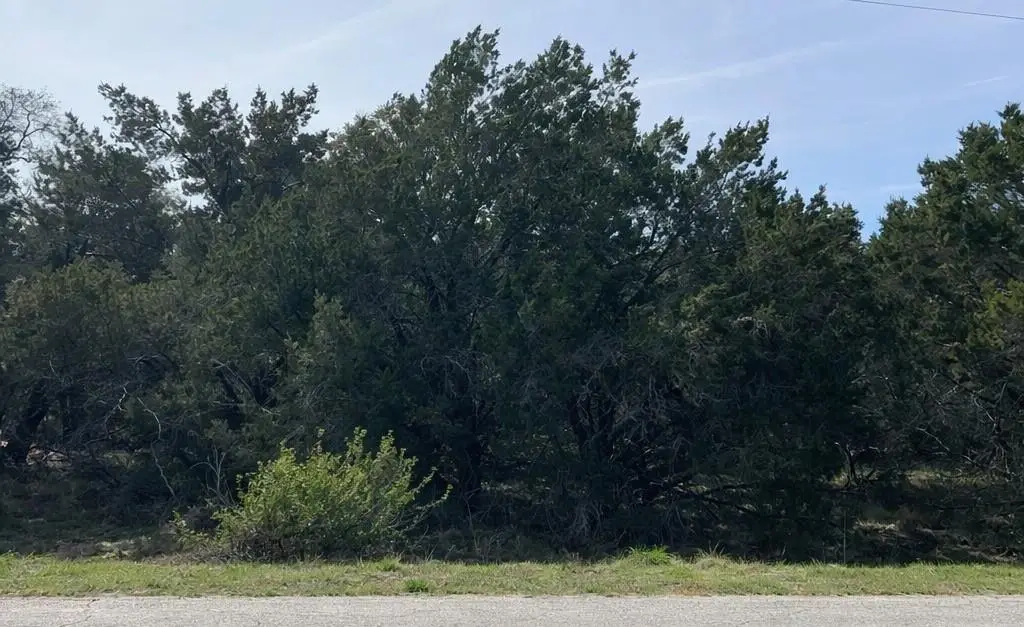 20307 Rockpark Ln, Lago Vista, TX 78645 - #1