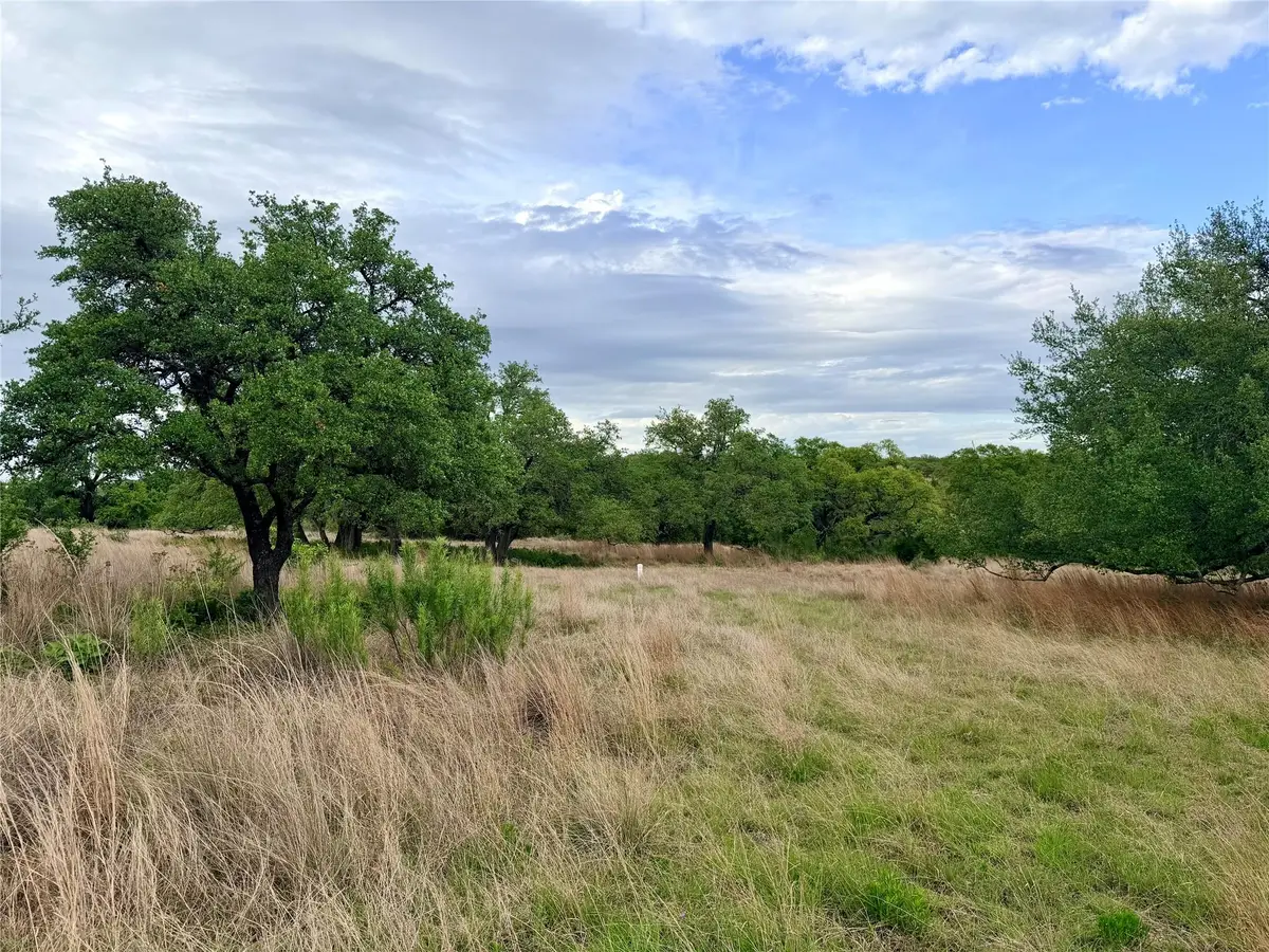 768 N Walnut Springs Rd, Johnson City, TX 78636 - #1