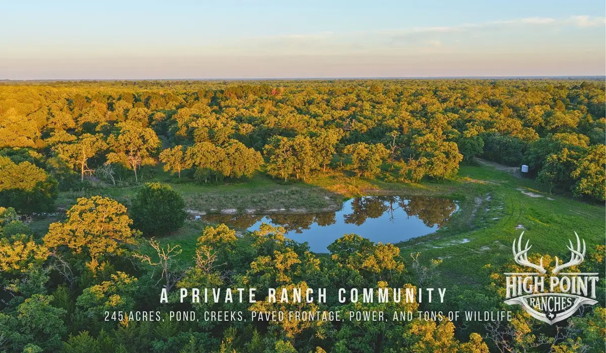 TBD Ranch Road Off Cr 405 (+/- 245 Acres), Lexington, TX 78947 - #1