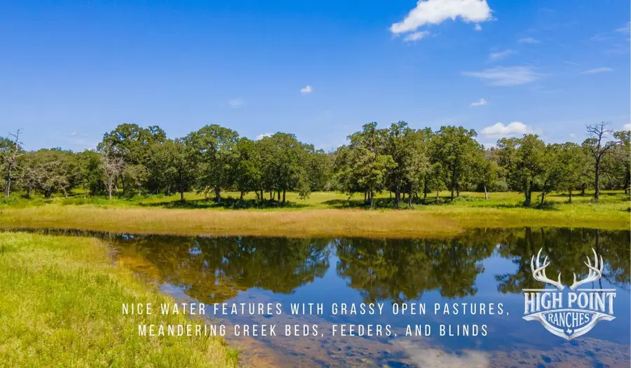TBD Ranch Road Off Cr 405 (+/- 245 Acres), Lexington, TX 78947 - #3
