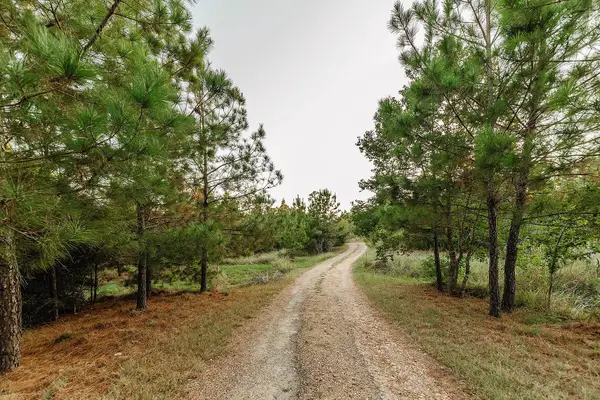 139 Village Forest Dr, Smithville, TX 78957