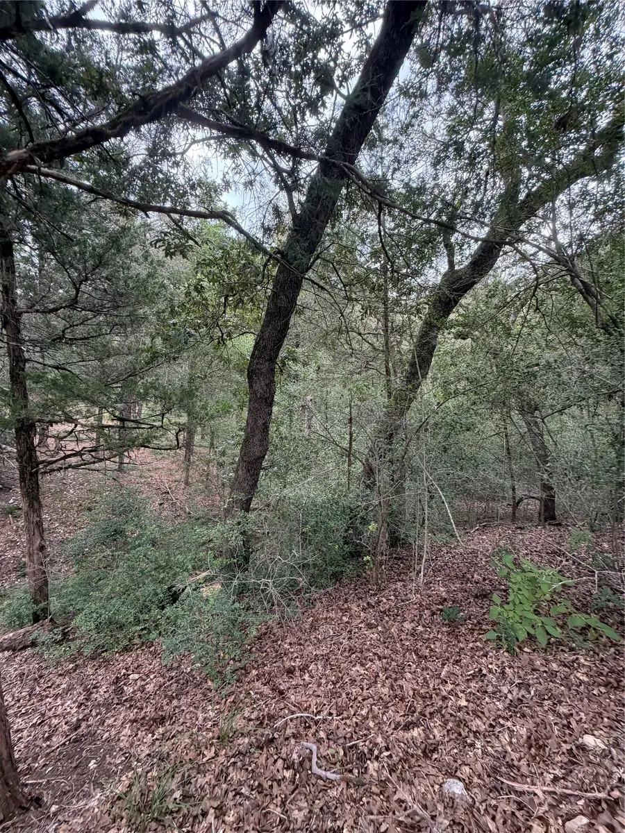 Lot 293 Aka Ct, Bastrop, TX 78602 - #3