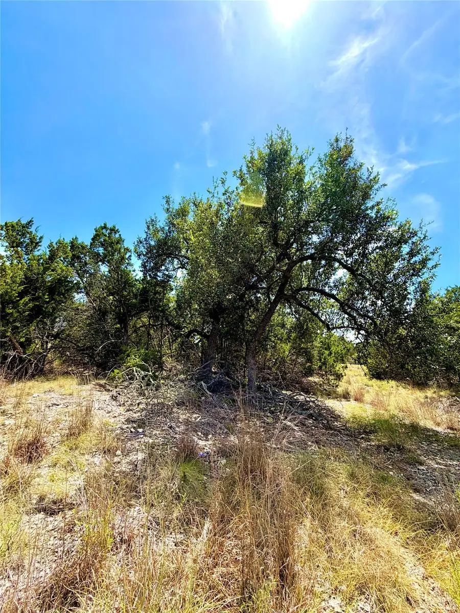 886 Mimosa Ct, Fischer, TX 78623 - #2