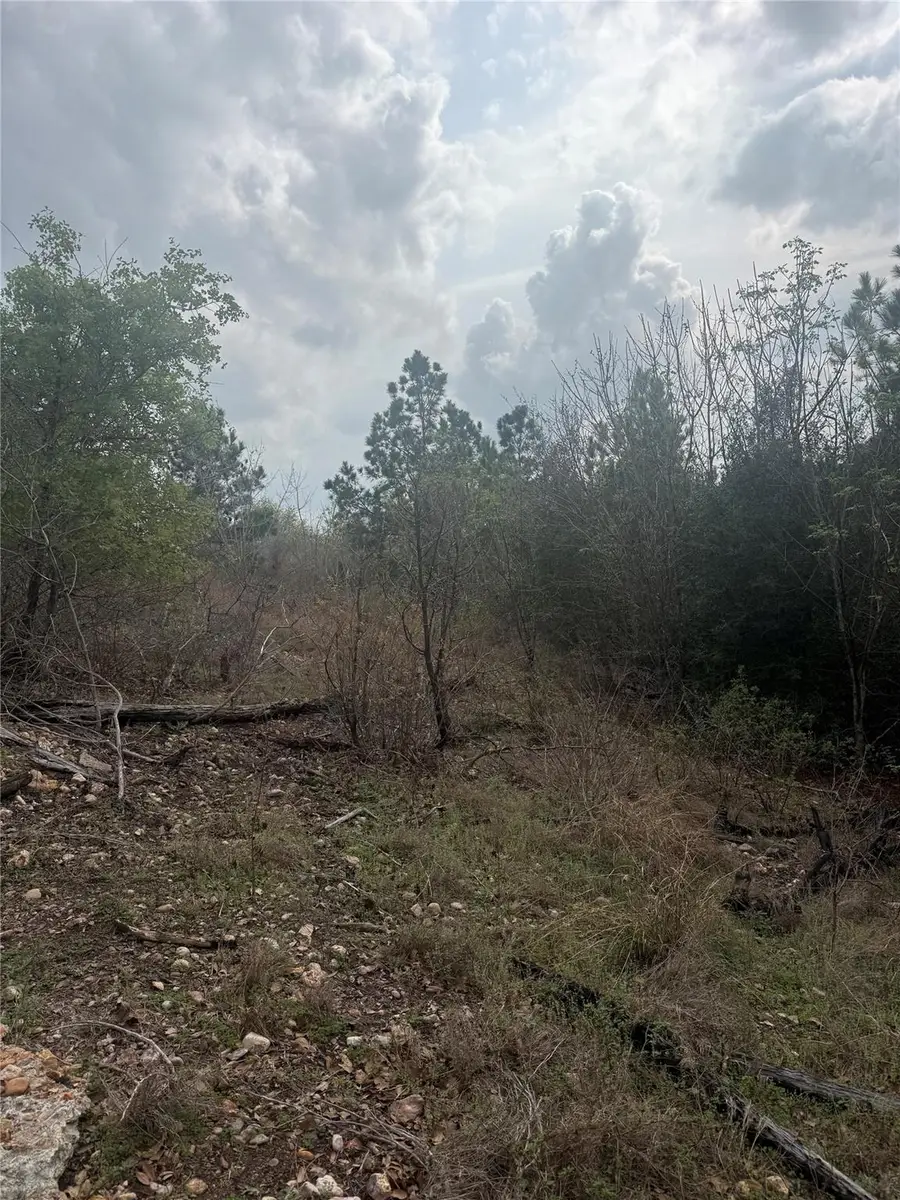 TBD Mauna Kea Ln, Bastrop, TX 78602 - #3