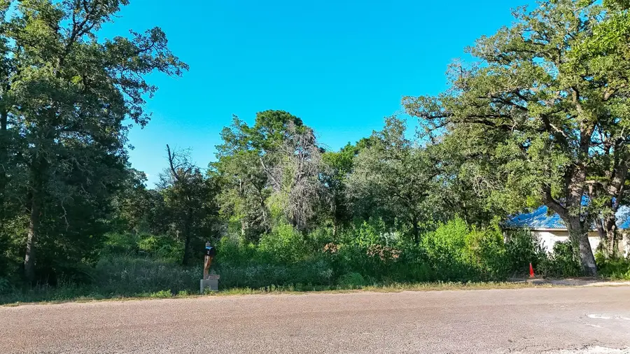 000 Flint Ridge St, Bastrop, TX 78602 - #2
