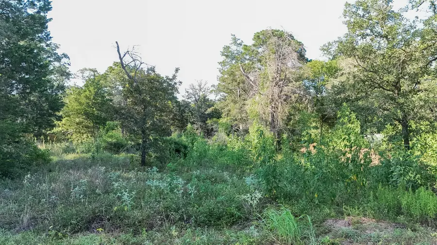 000 Flint Ridge St, Bastrop, TX 78602 - #3