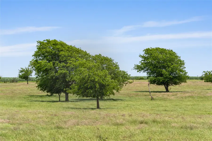 16160 Siler Road Rd, Moody, TX 76557 - Image #3