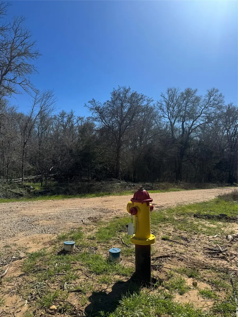 Lot 321 Kolekole Ln, Bastrop, TX 78602 - #3