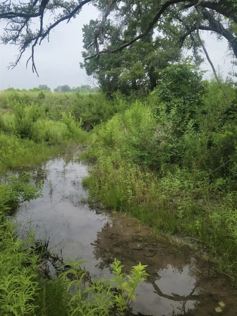 119 Delorean Cir, Burnet, TX 78611 - Image #3