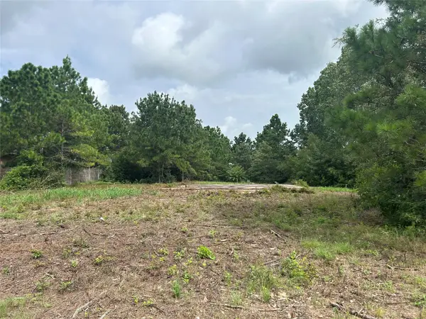 158 Cardinal Loop, Paige, TX 78659