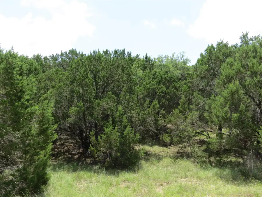 21902 Surrey Ln, Lago Vista, TX 78645 - #3