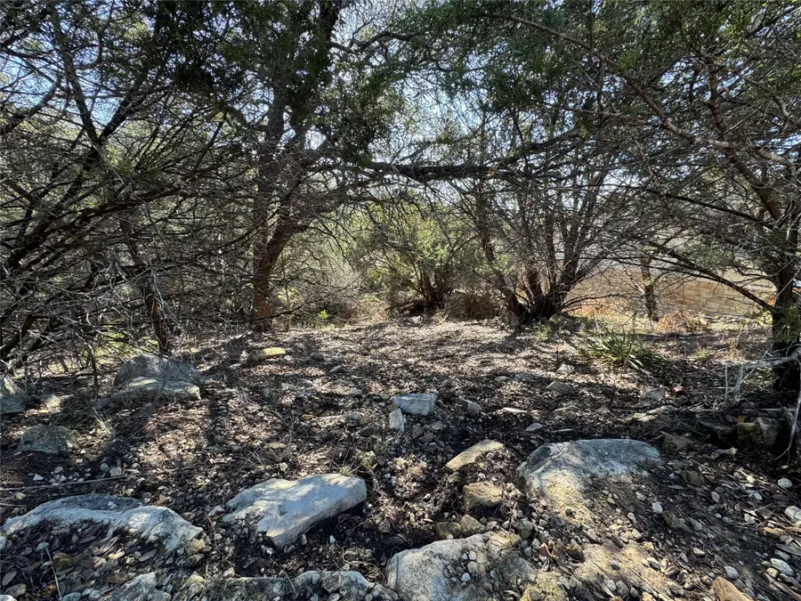 20405 Doolittle Cv, Lago Vista, TX 78645 - Image #3