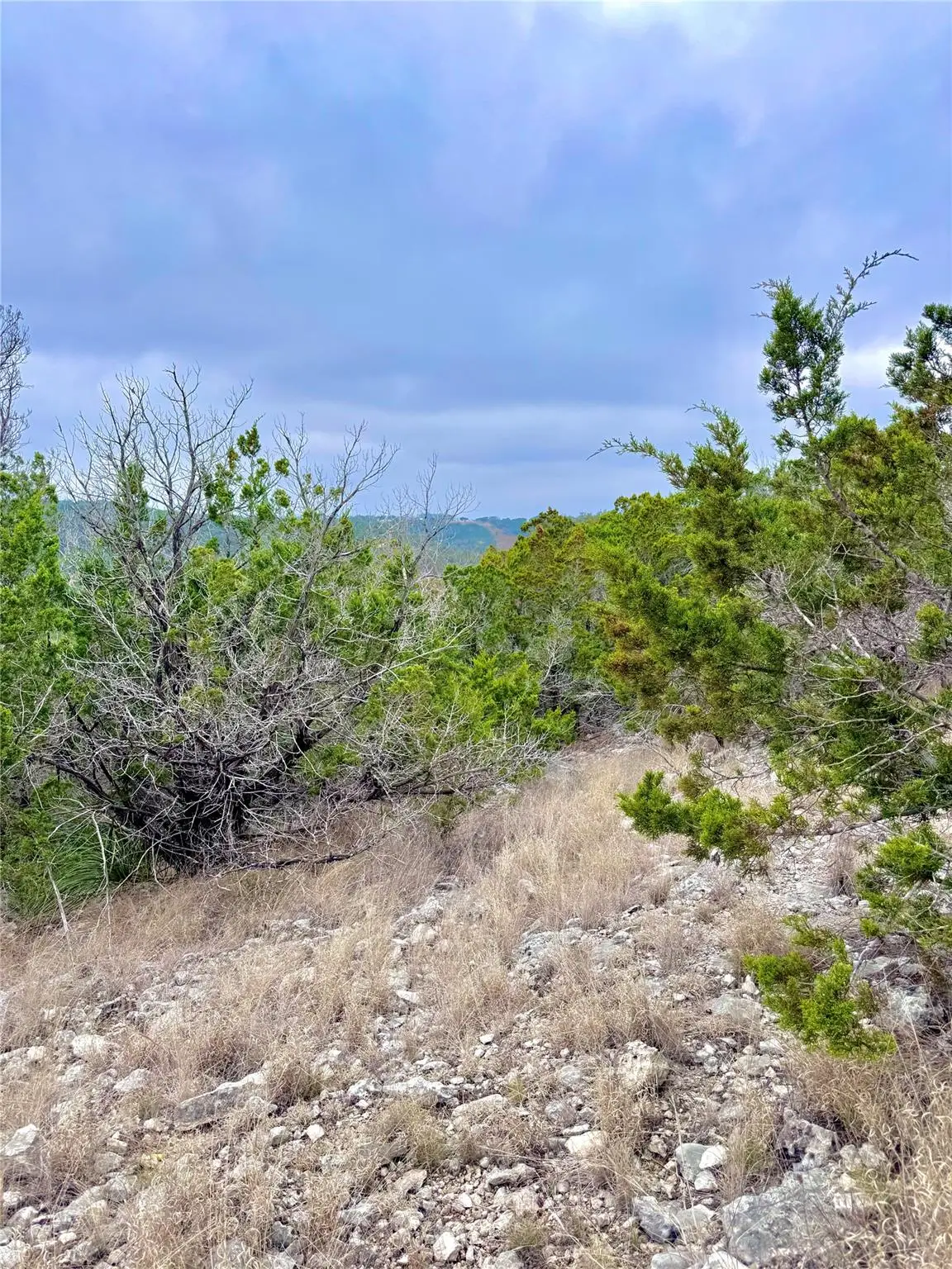 424 Armadillo Trail Dr E, Comfort, TX 78013 - #1