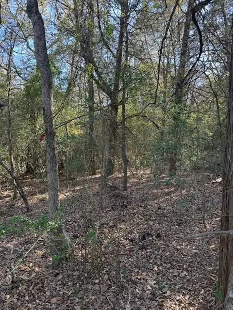 125 Helemano Dr, Bastrop, TX 78602 - #2