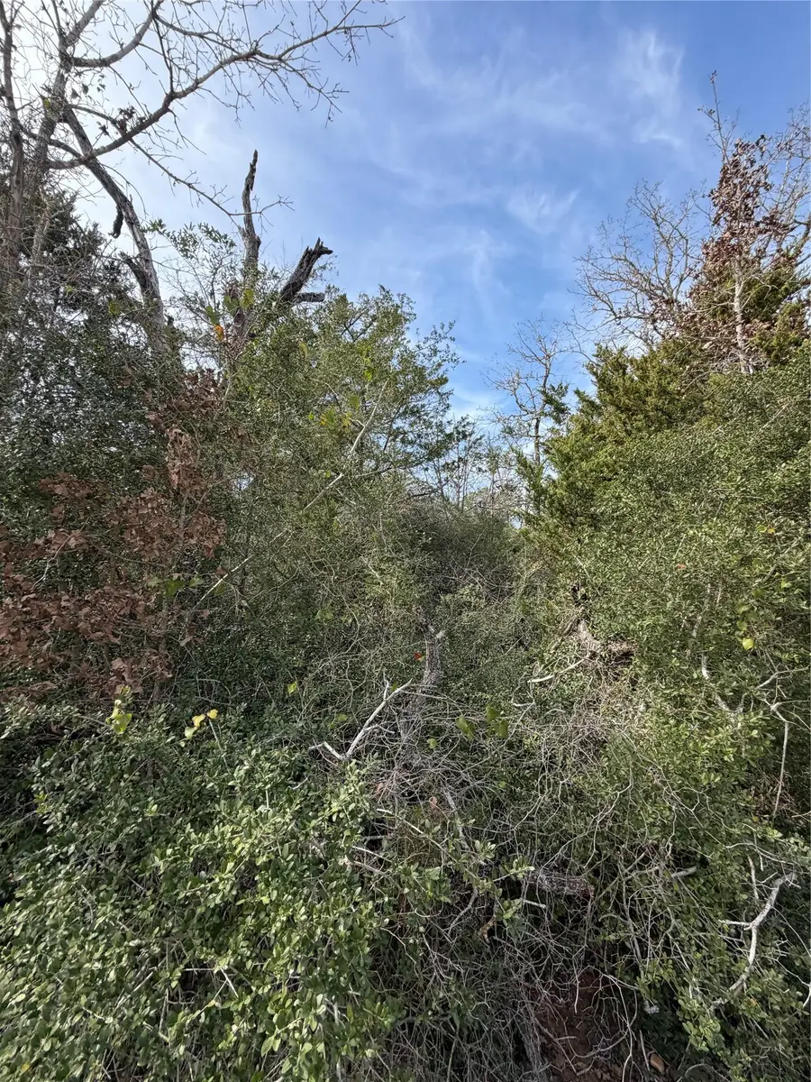 Lot 20 Flint Ridge St, Bastrop, TX 78602 - #2