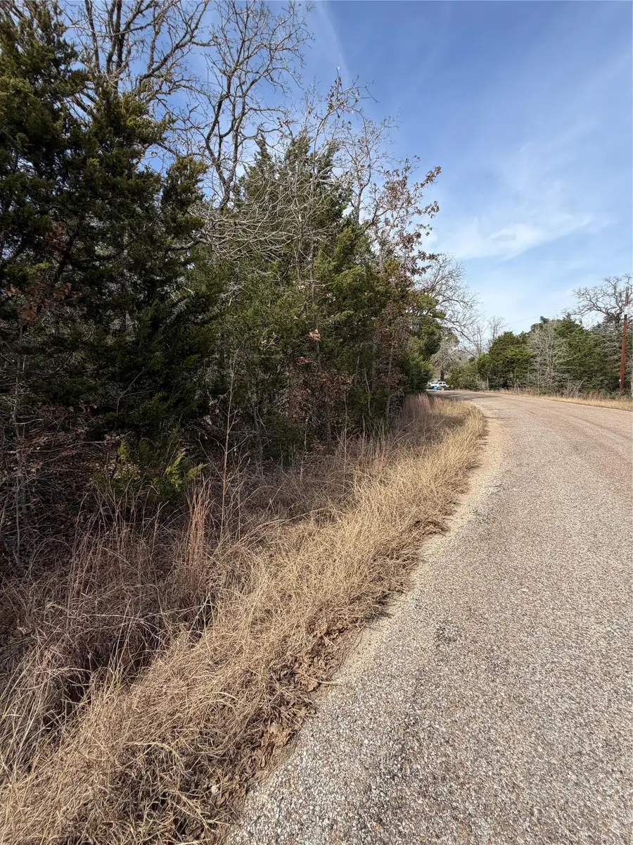Lot 20 Flint Ridge St, Bastrop, TX 78602 - #3