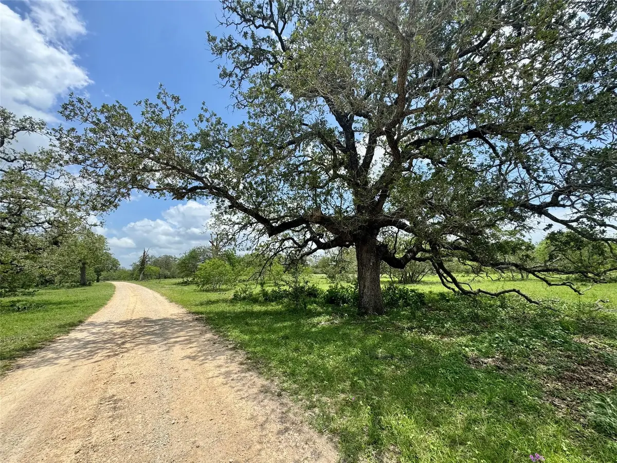 0 Batey Rd, Nixon, TX 78140 - #1