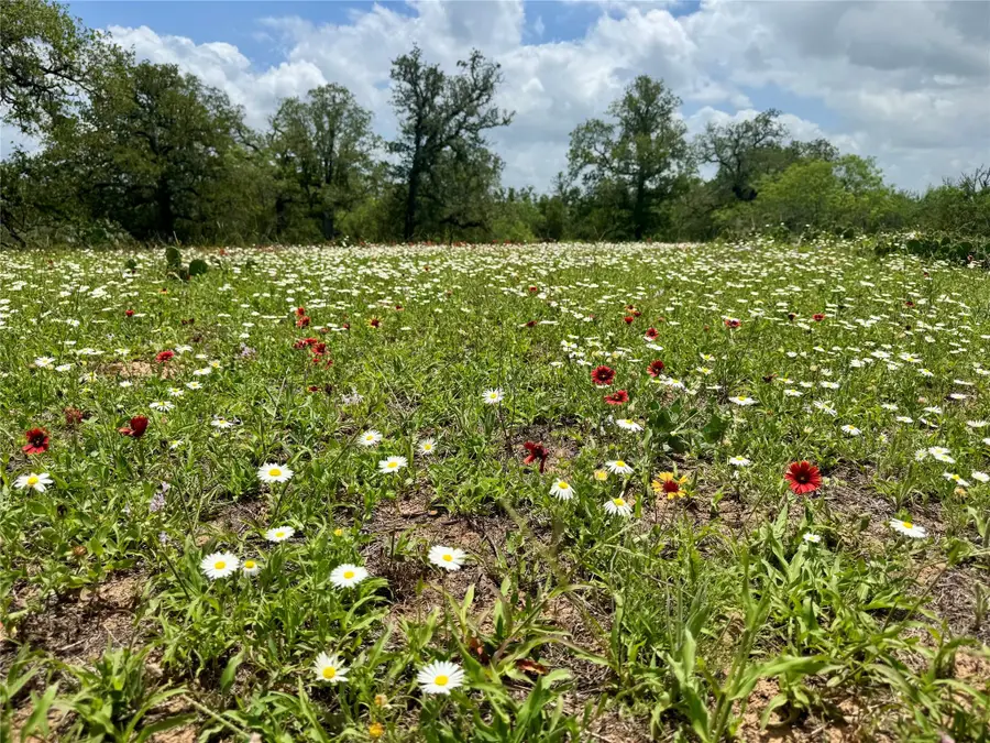 0 Batey Rd, Nixon, TX 78140 - #2