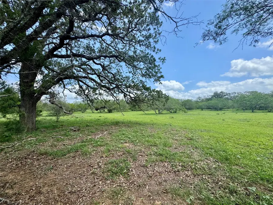 0 Batey Rd, Nixon, TX 78140 - #3