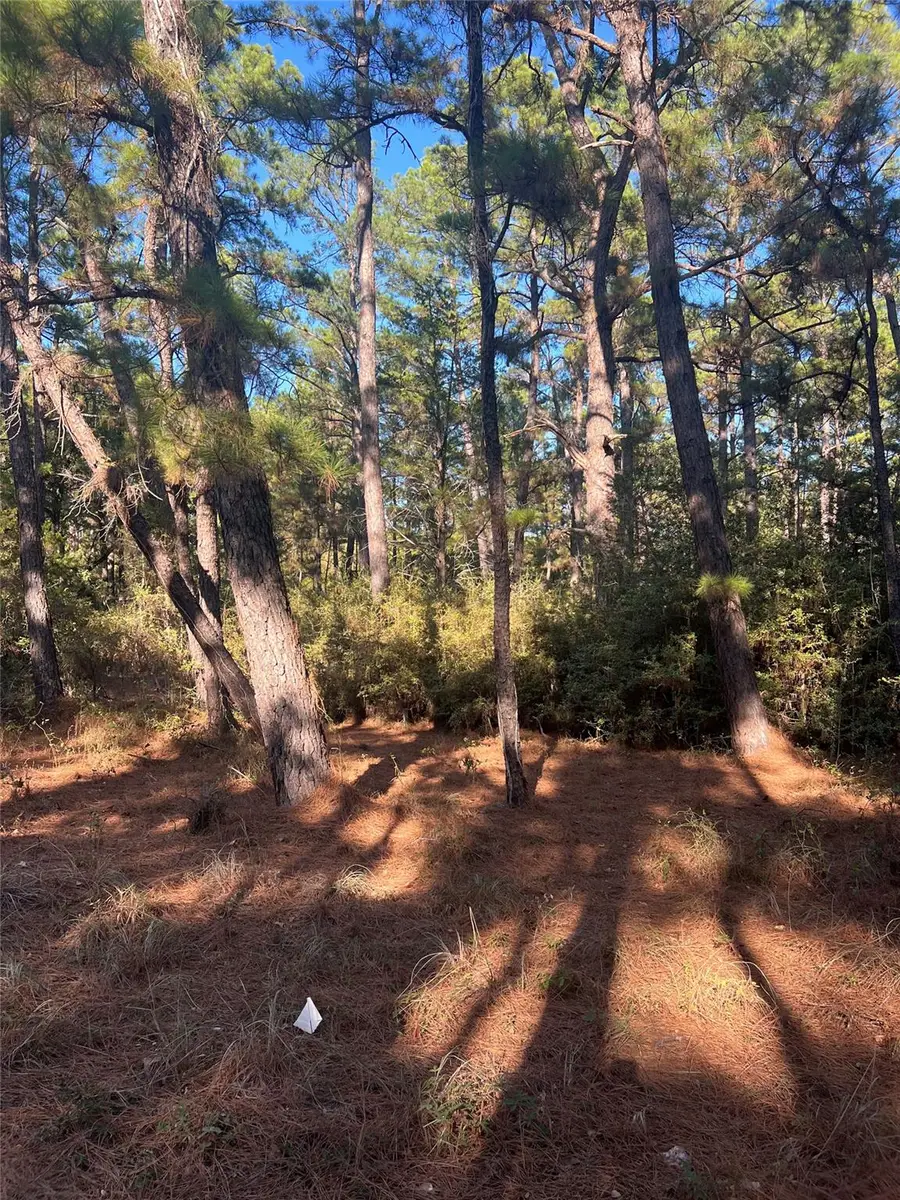 TBD Pine Lodge Dr, Bastrop, TX 78602 - #2