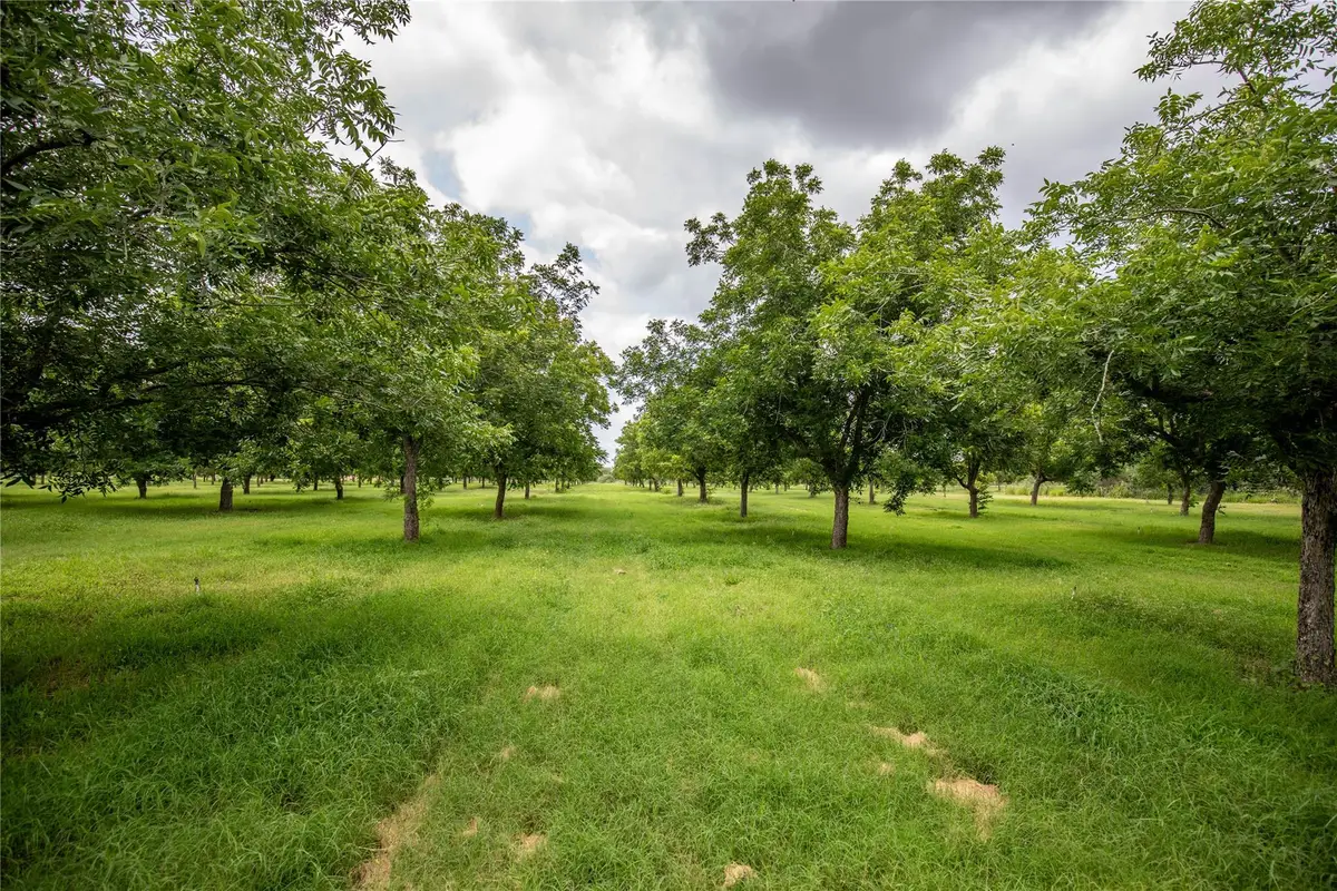 2432 County Road 402 B, Falfurrias, TX 78355 - #1