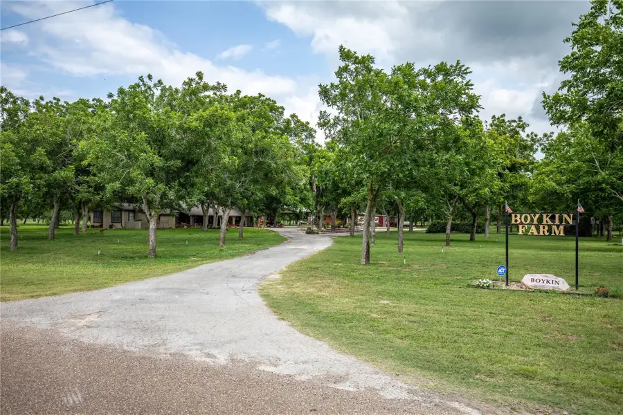 2432 County Road 402 B, Falfurrias, TX 78355 - #2