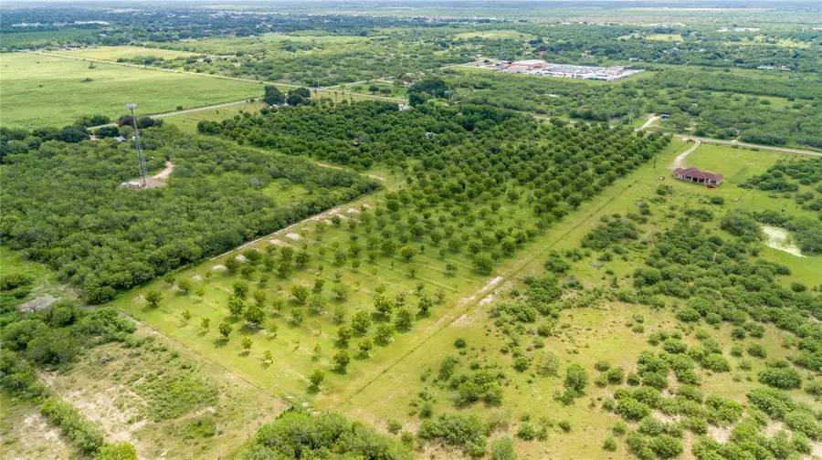 2432 County Road 402 B, Falfurrias, TX 78355 - #3